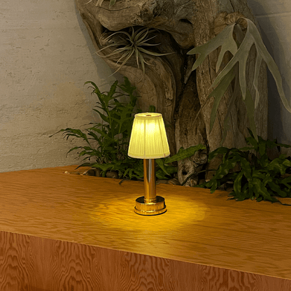 Small table lamp on a wooden surface with plants and a stone wall in the background